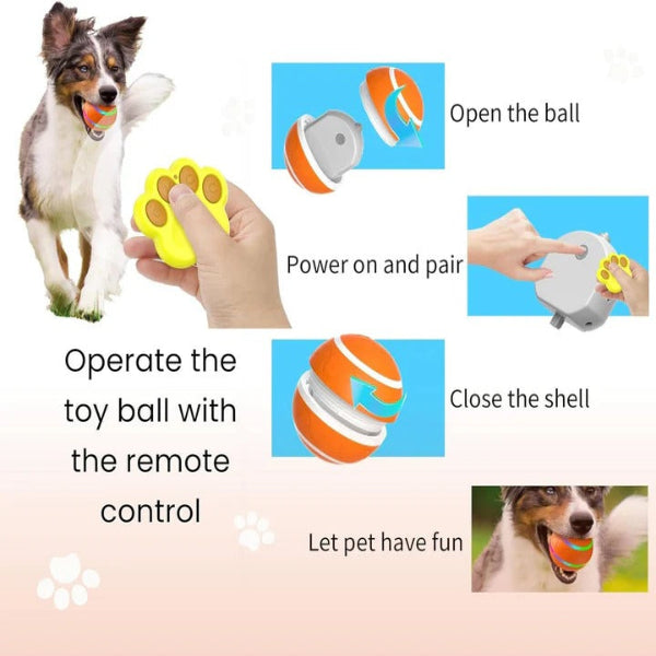 Fun Pet Ball Toy with Moving Action