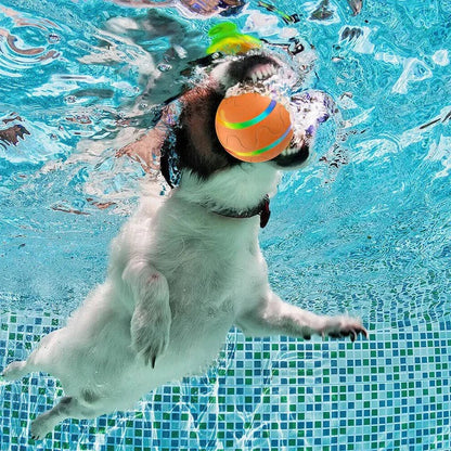 Fun Pet Ball Toy with Moving Action