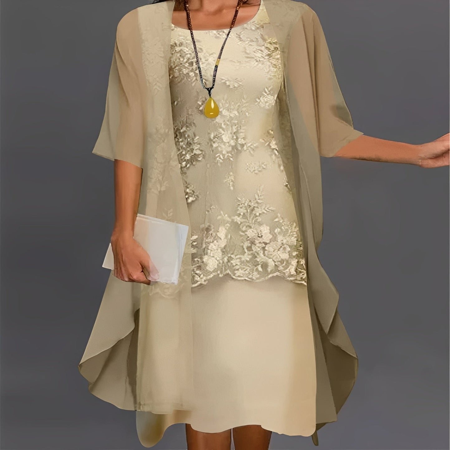 Elegant Lace Trim Two Piece Dress for Ladies