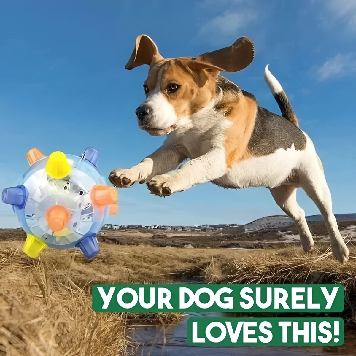 Fun Interactive Bouncing Dog Ball Toy