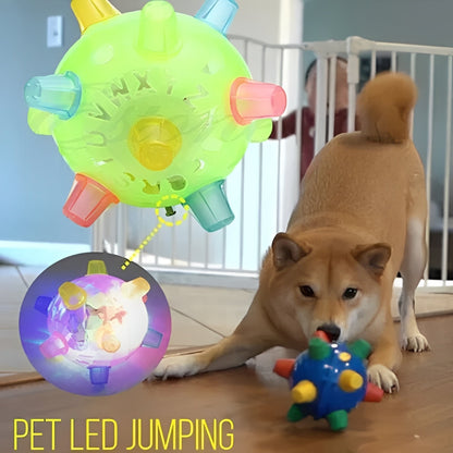 Fun Interactive Bouncing Dog Ball Toy
