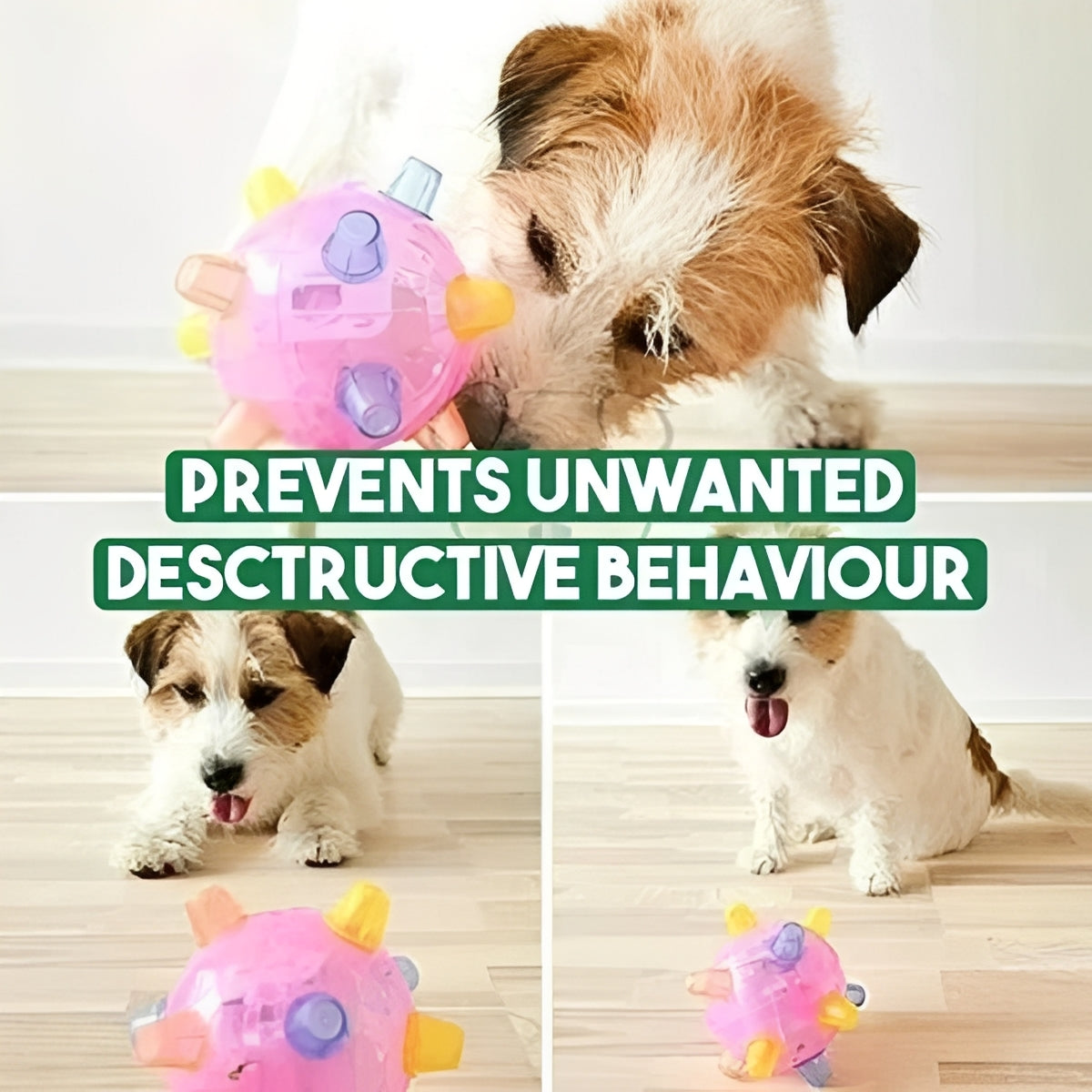 Fun Interactive Bouncing Dog Ball Toy