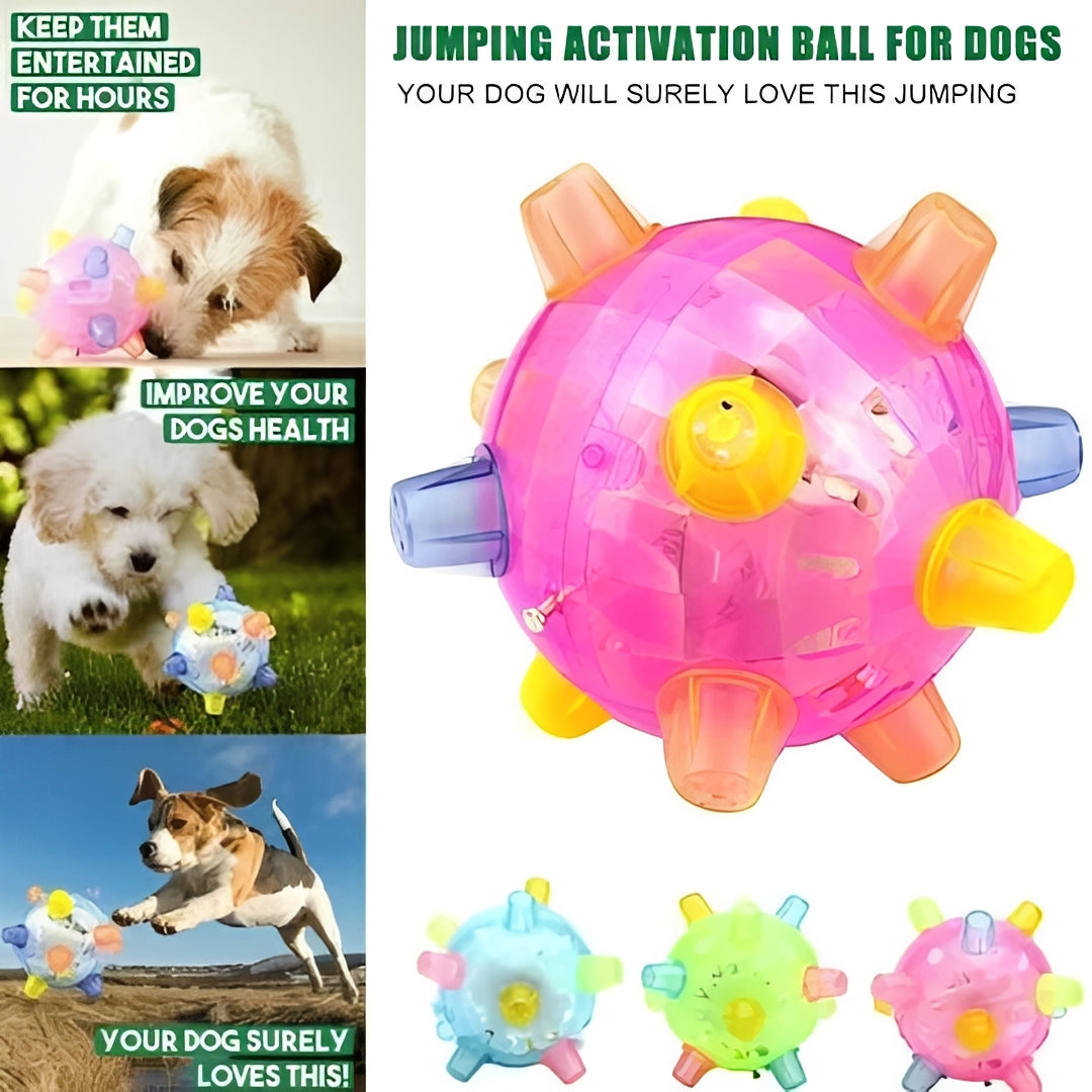 Fun Interactive Bouncing Dog Ball Toy