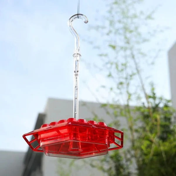 Colorful Bird Feeder with Built-in Ant Trap - Ortekor