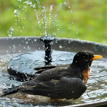 Solar Powered Water Fountain for Outdoor Ponds and Birds