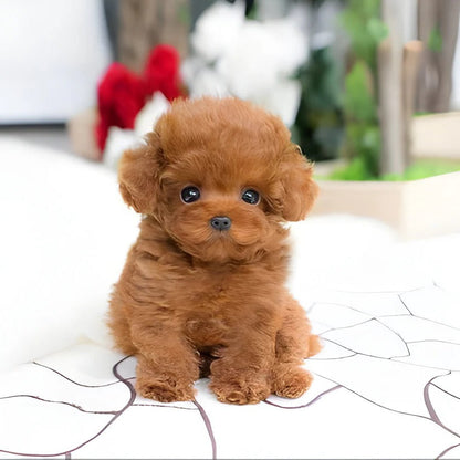Soft Cuddly Dog Toy with Faux Fur Outside