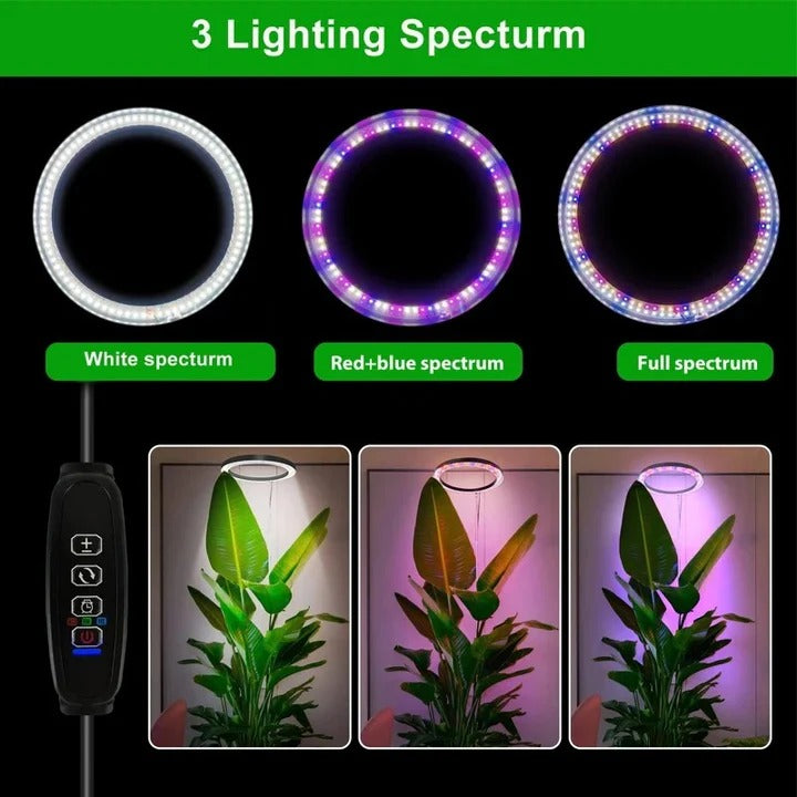 Adjustable LED Indoor Plant Grow Lamp with Timer