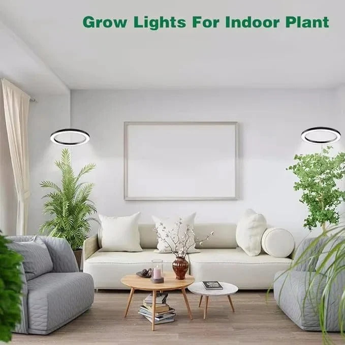 Adjustable LED Indoor Plant Grow Lamp with Timer