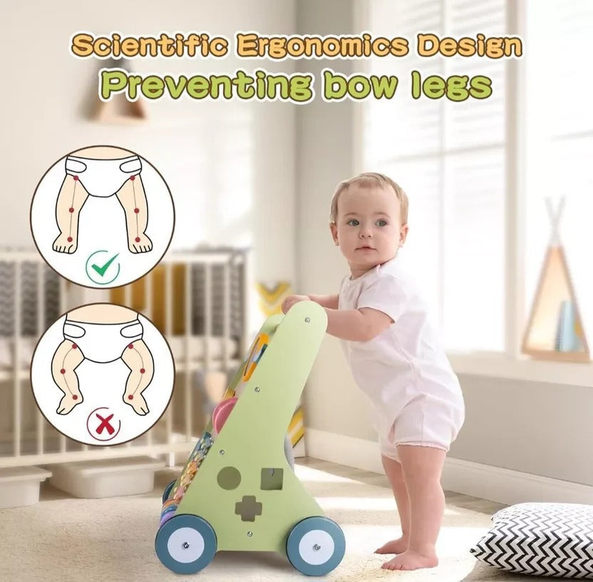 Baby Learning Walker and Play Center