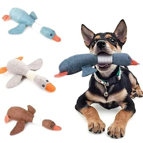 Tough Plush Toy and Durable Pet Chew