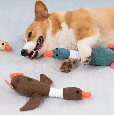 Tough Plush Toy and Durable Pet Chew