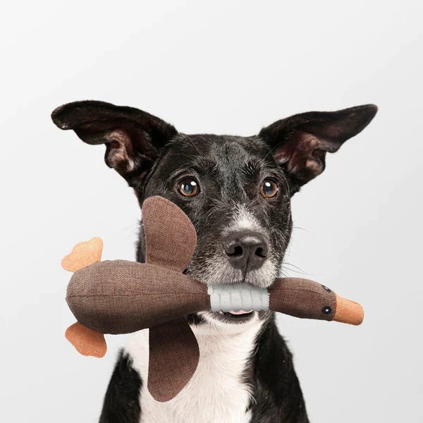 Tough Plush Toy and Durable Pet Chew