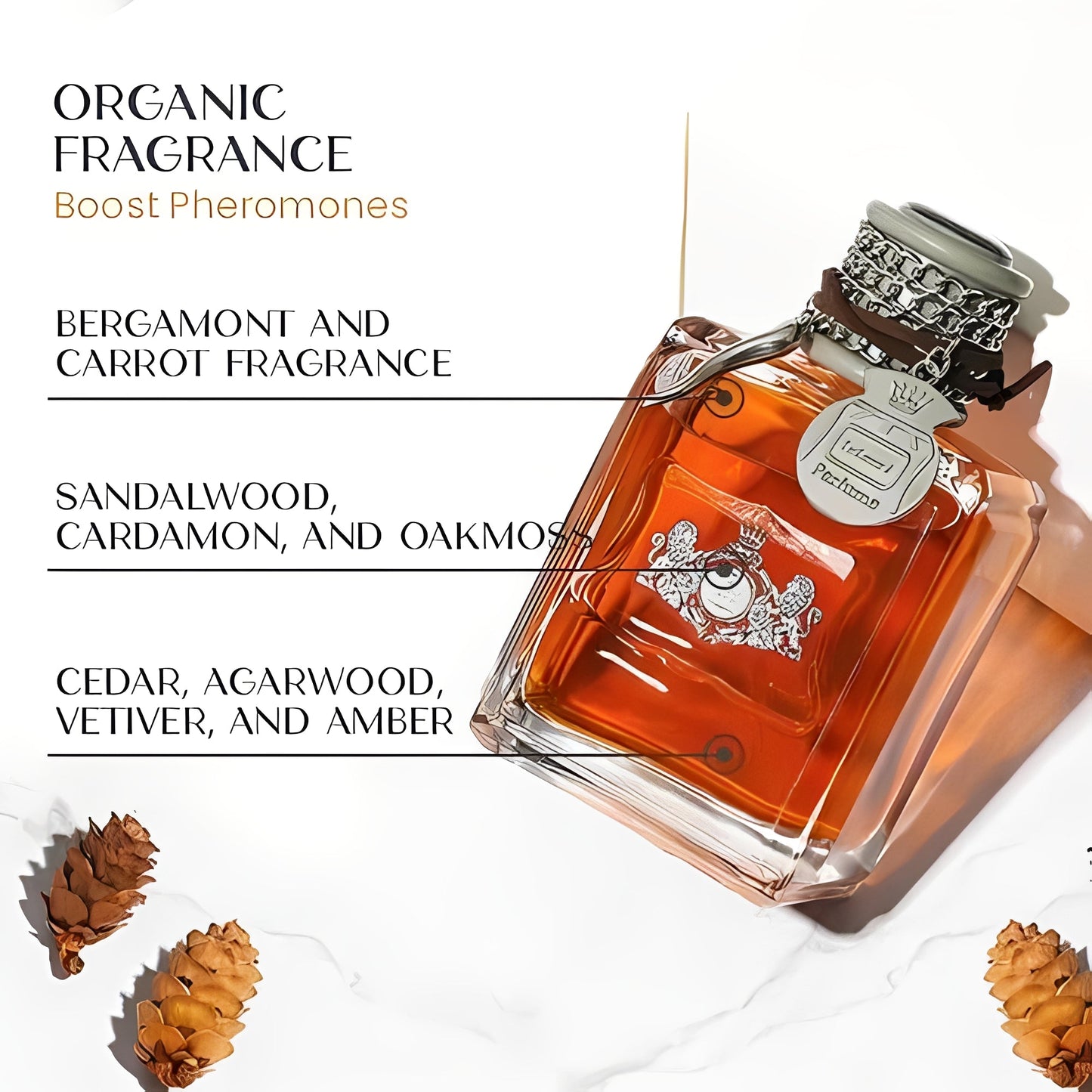 Attractive Men's Everyday Cologne Spray