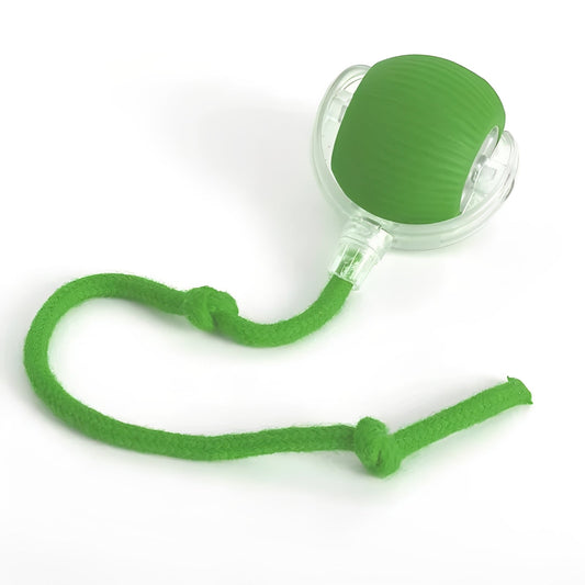 Interactive Rolling Pet Toy with Feather Teaser Tail - Ortekor