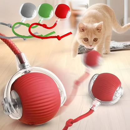 Interactive Rolling Pet Toy with Feather Teaser Tail