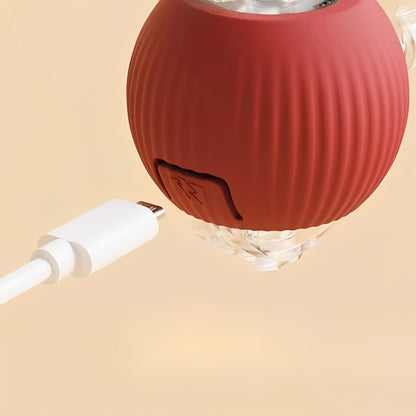 Interactive Rolling Pet Toy with Feather Teaser Tail