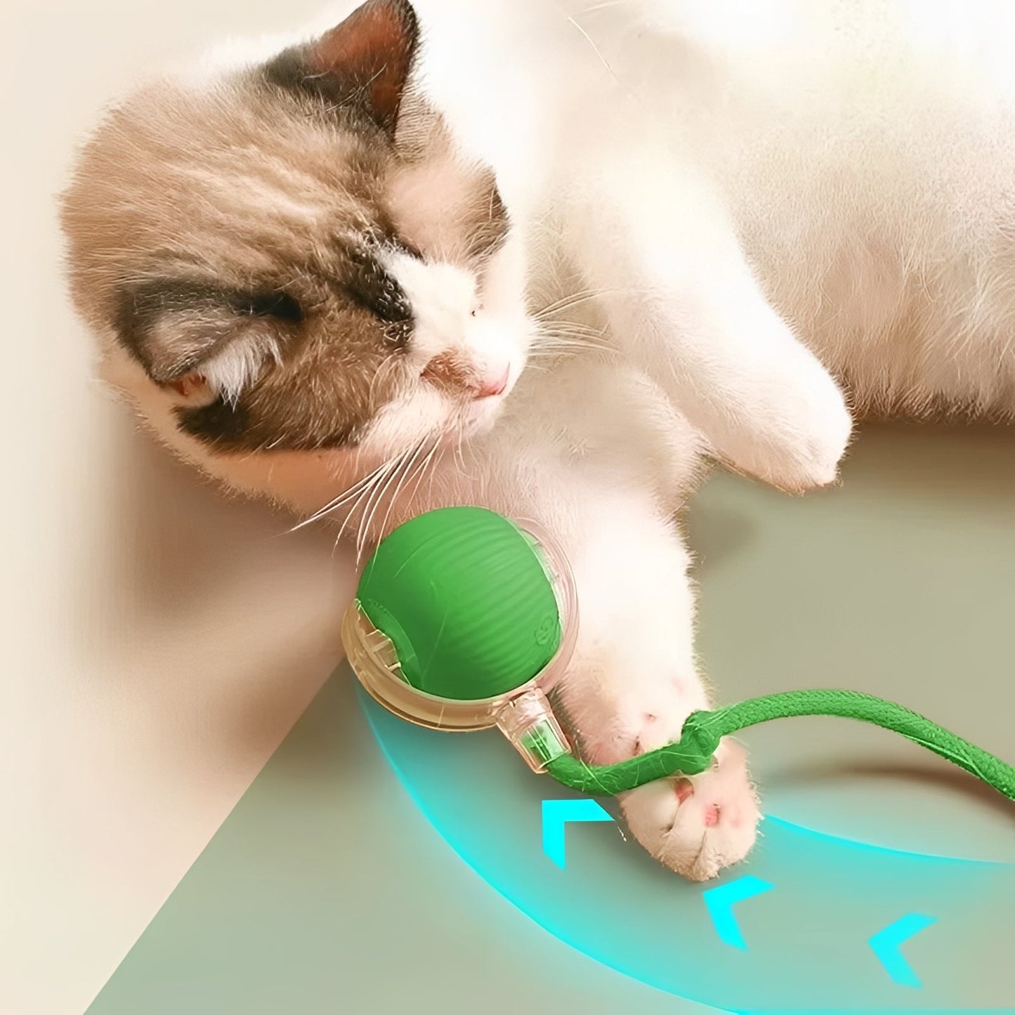 Interactive Rolling Pet Toy with Feather Teaser Tail