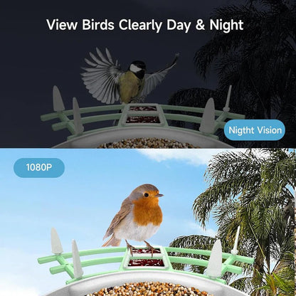 Wireless Bird Feeder with Camera and Solar Power