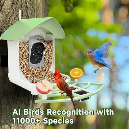 Wireless Bird Feeder with Camera and Solar Power