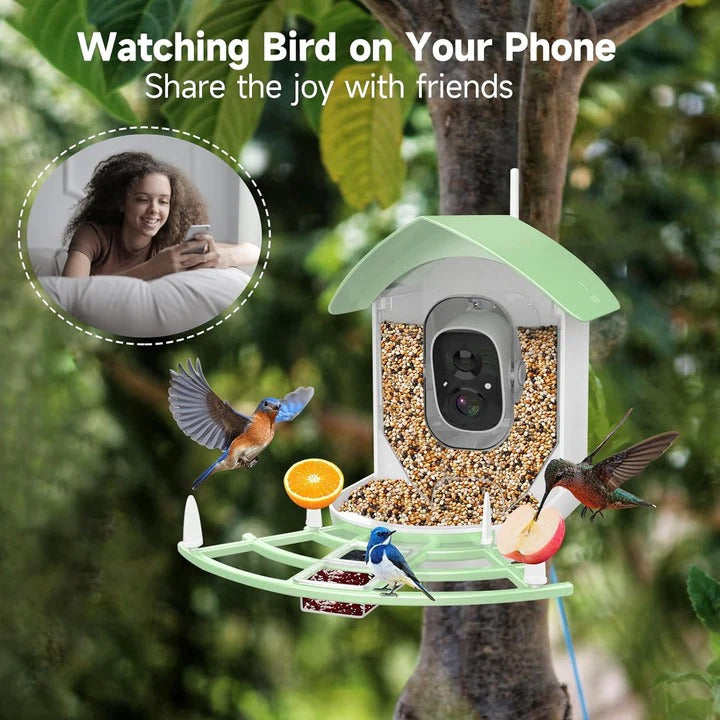 Wireless Bird Feeder with Camera and Solar Power