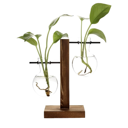 Indoor Glass Planter with Wood Base