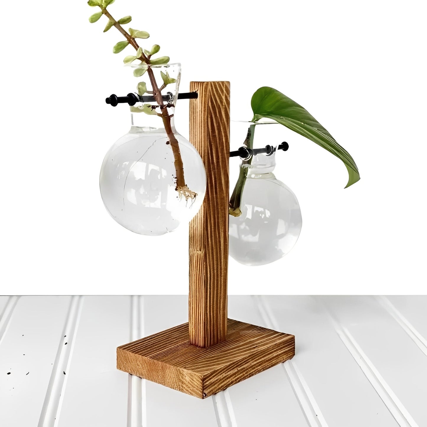 Indoor Glass Planter with Wood Base