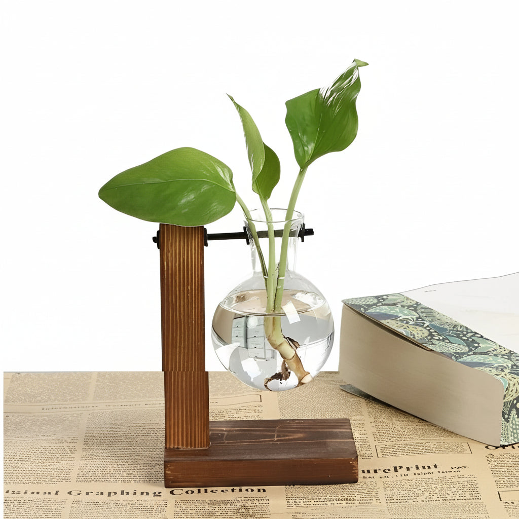 Indoor Glass Planter with Wood Base - Ortekor
