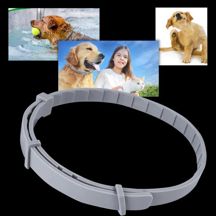 Effective Pet Tick and Flea Control Collar