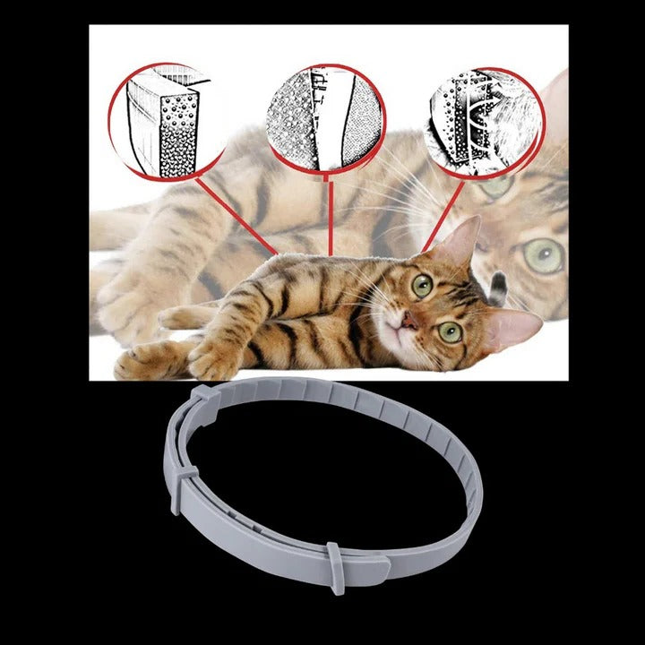 Effective Pet Tick and Flea Control Collar