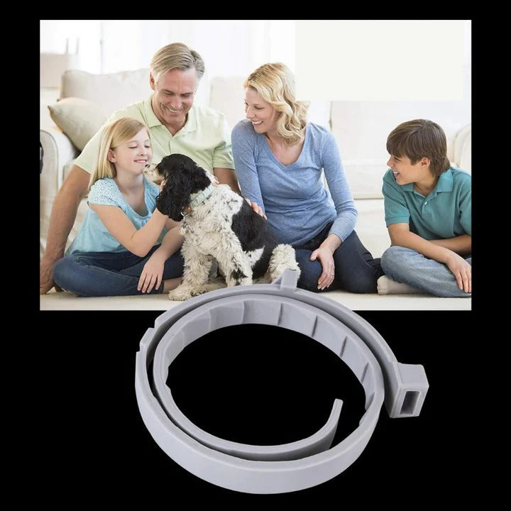 Effective Pet Tick and Flea Control Collar