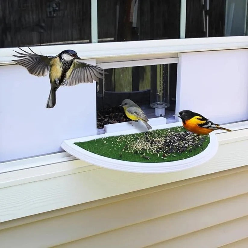 Easy Hang Bird Feeder with Strong Suction Cup