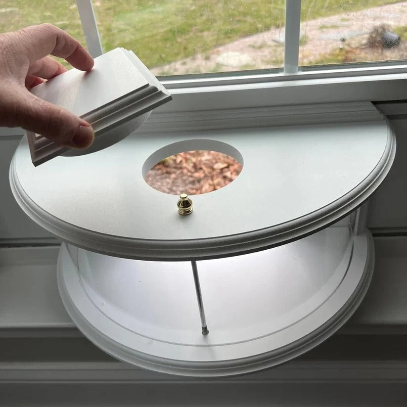 Easy Hang Bird Feeder with Strong Suction Cup