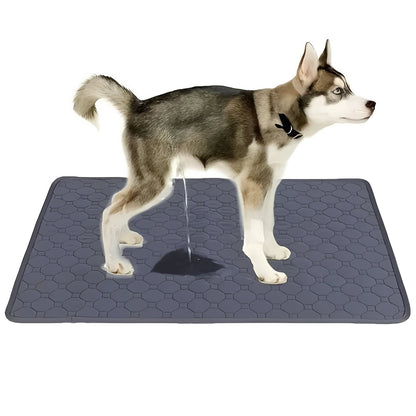 Pet Training Pads for Indoor Dog Accidents