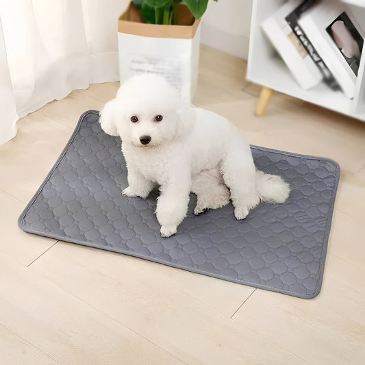 Pet Training Pads for Indoor Dog Accidents - Ortekor
