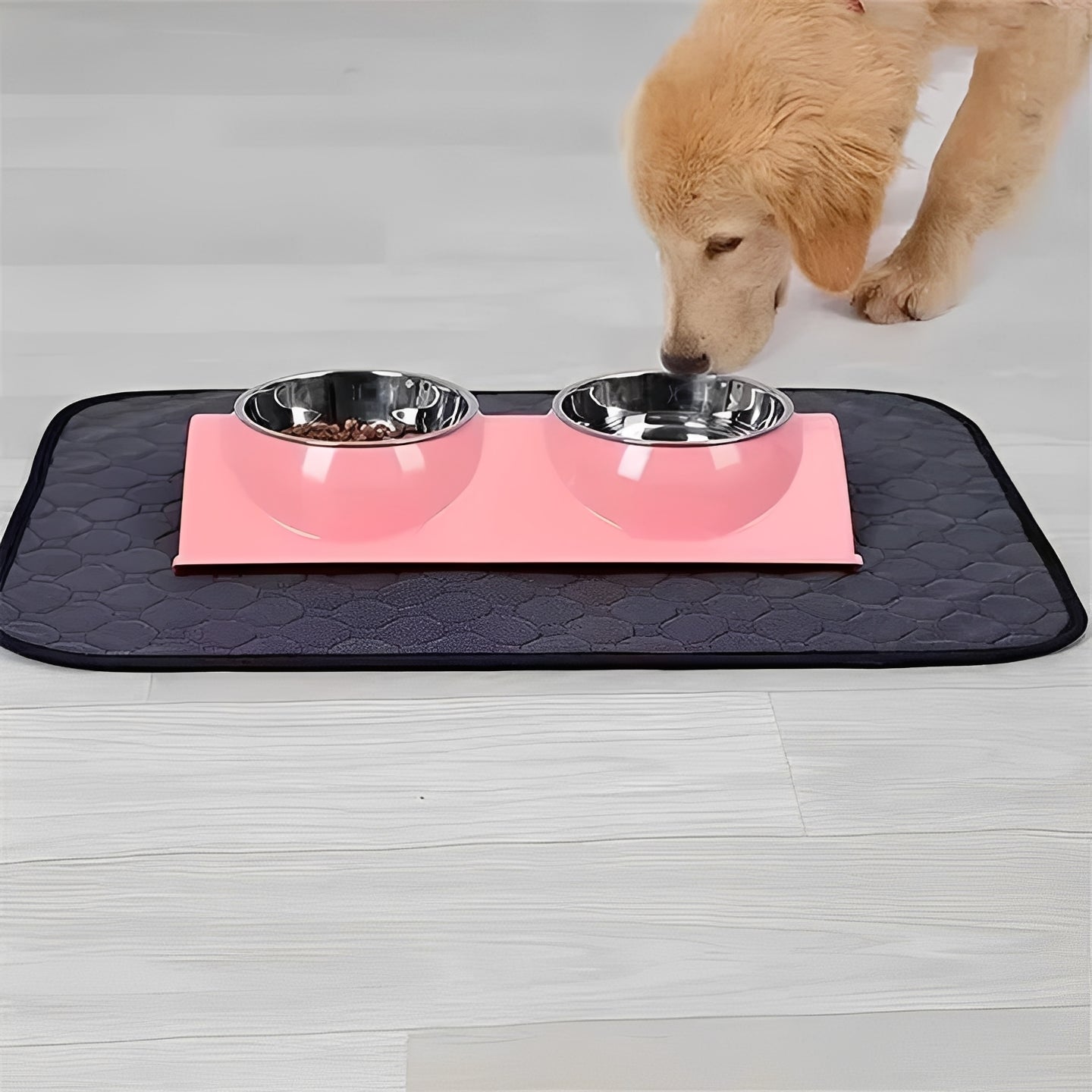 Pet Training Pads for Indoor Dog Accidents