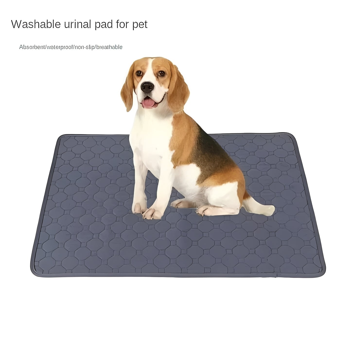 Pet Training Pads for Indoor Dog Accidents