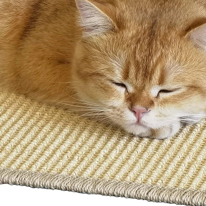 Durable Cat Scratcher Mat with Carpet Protector - Ortekor