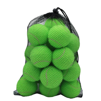 Premium Tennis Balls, 20 Pack with Net Bag