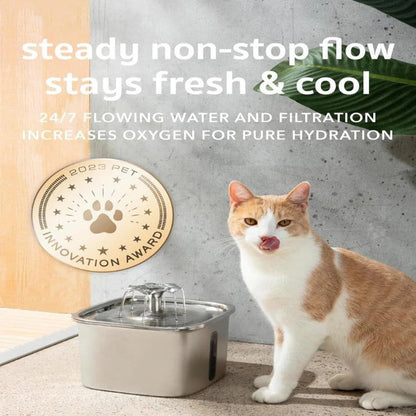 Quiet Pet Water Fountain with Stainless Steel Bowl