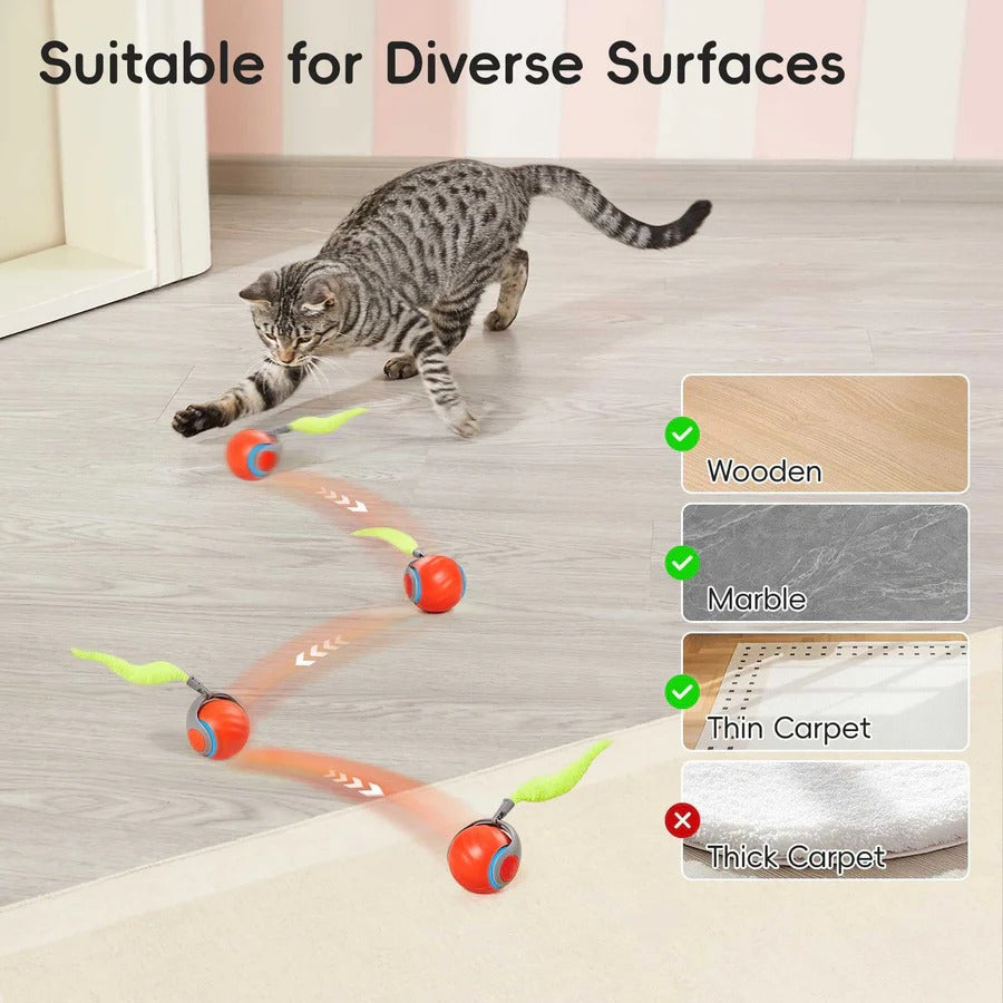 Automatic Interactive Cat Toy with Feather Teaser, 2 Pack