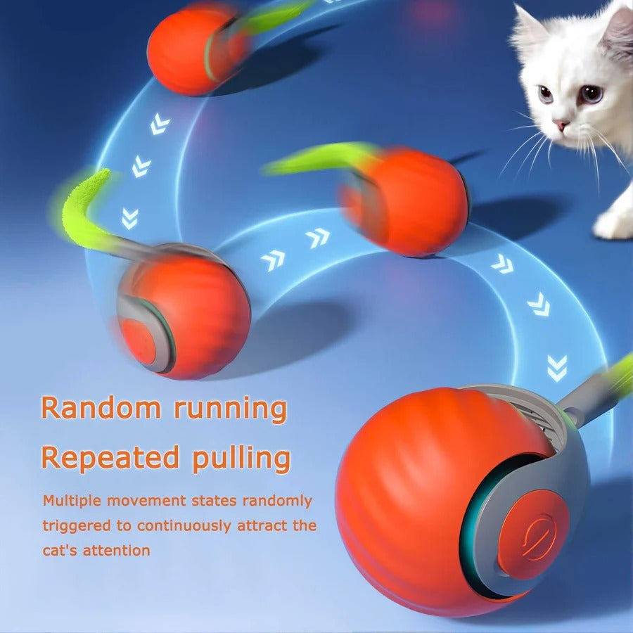 Automatic Interactive Cat Toy with Feather Teaser, 2 Pack