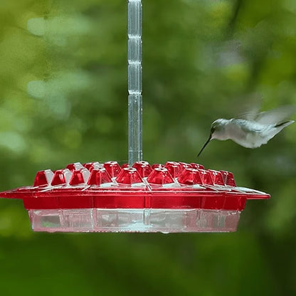 Red Glass Hummingbird Feeder 30 Feeding Ports Clear Reservoir with Ant Moat Hook for Backyard Garden Patio Outdoor Bird Watching