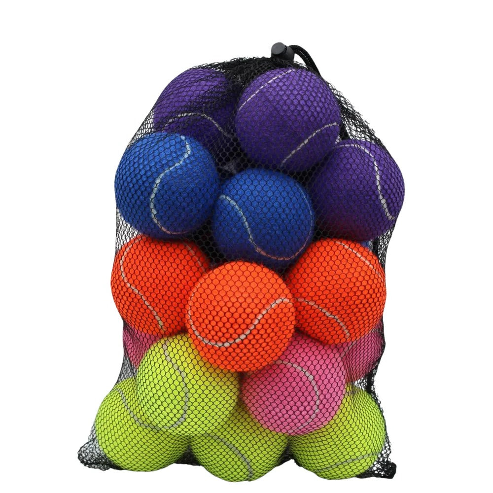 Premium Tennis Balls, 20 Pack with Net Bag