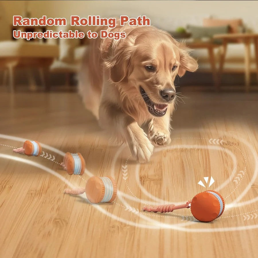 Interactive Dog Toy Ball with Rope, 2 Pack Set