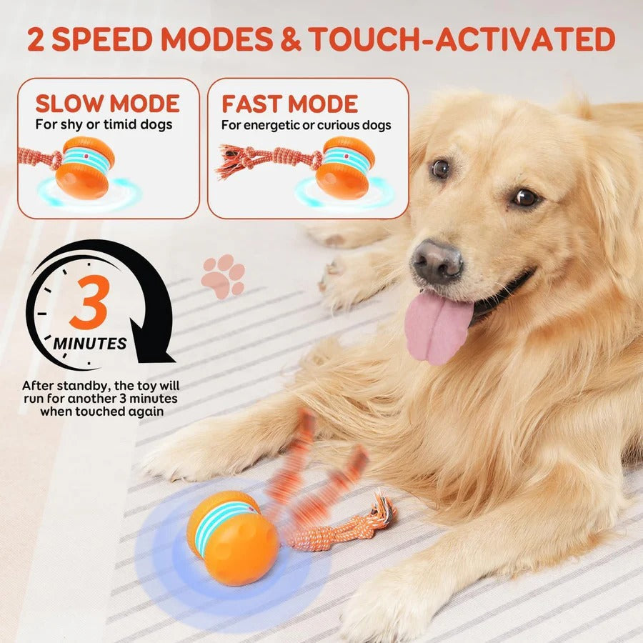 Interactive Dog Toy Ball with Rope, 2 Pack Set