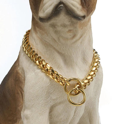 Durable Metal Puppy Collar in Various Colors