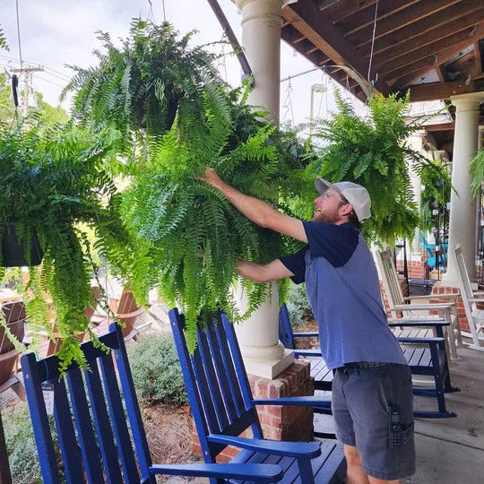 Outdoor Faux Fern Bush – Weatherproof Synthetic Greenery for Porch, Patio & Yard Decor