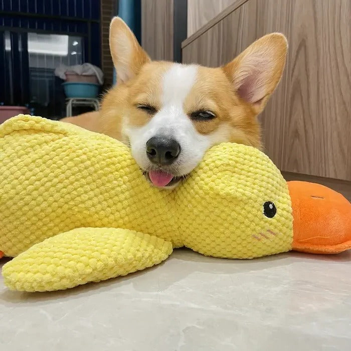 Cute Quacking Duck Plush Toy