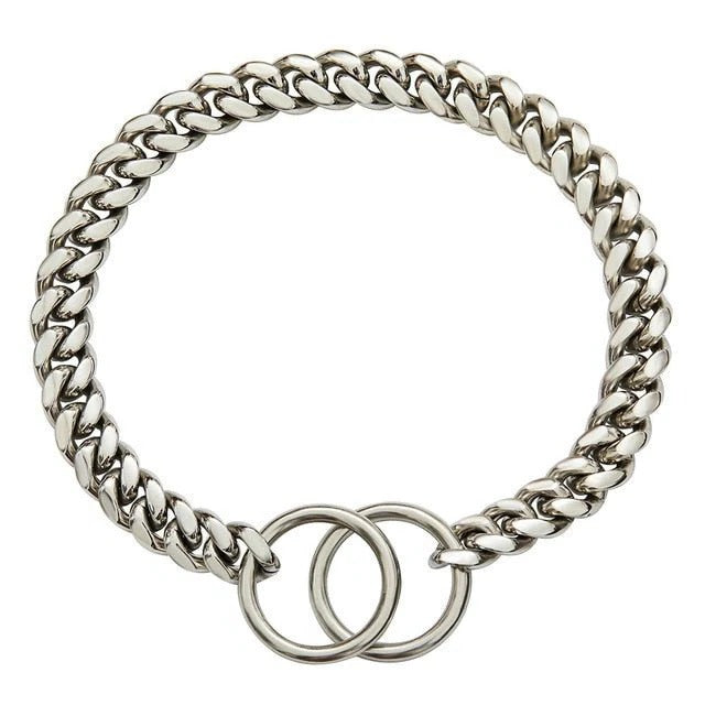 Durable Metal Puppy Collar in Various Colors