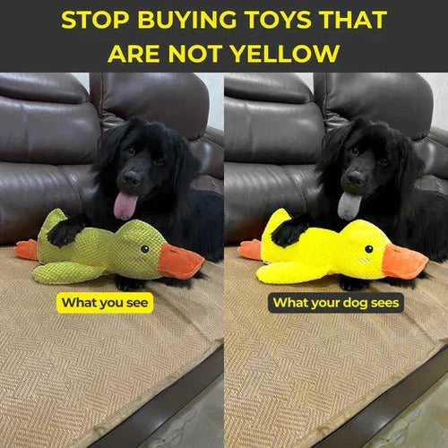 Cute Quacking Duck Plush Toy